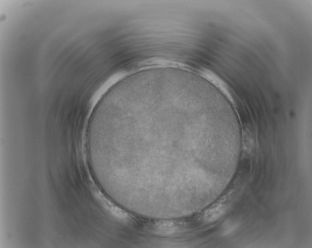 X0000072531098200608041551