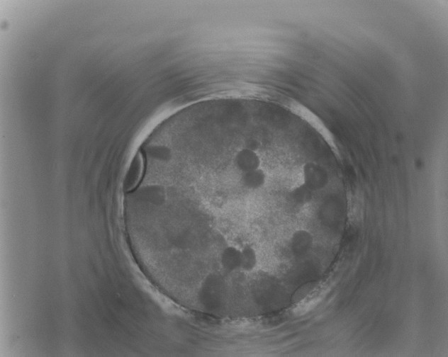 X0000072531099200608041551