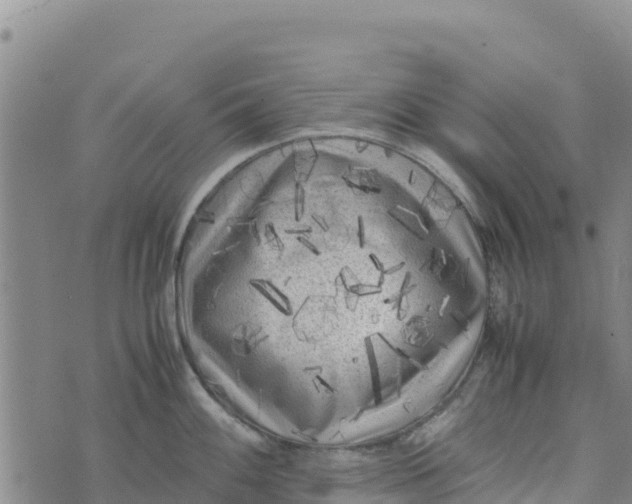 X0000072531100200608041551