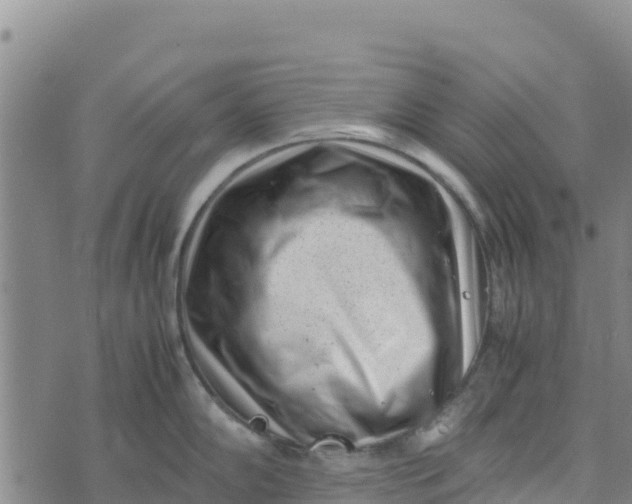 X0000072531102200608041551