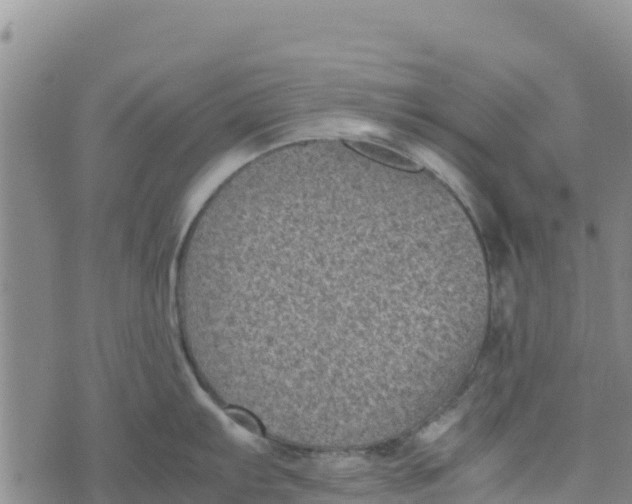 X0000072531103200608041551