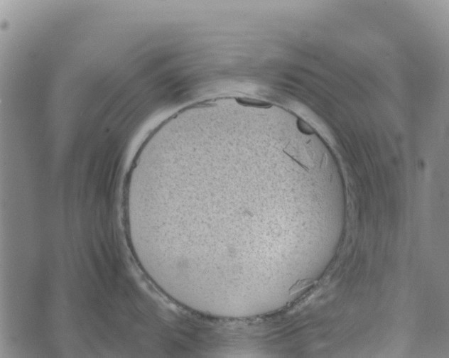 X0000072531104200608041551