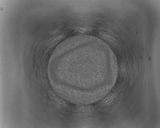 X0000072531105200608041550