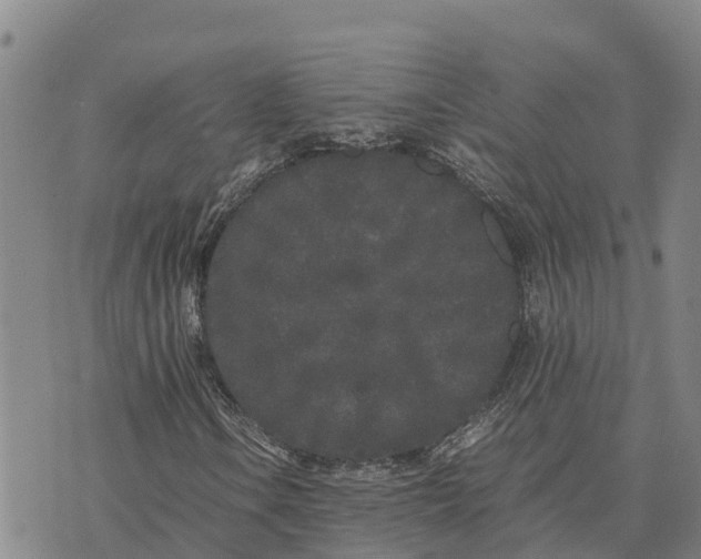 X0000072531106200608041550