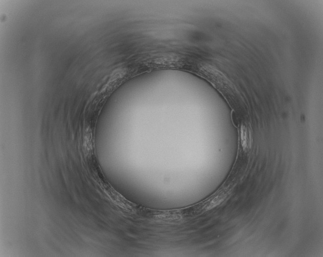 X0000072531107200608041550