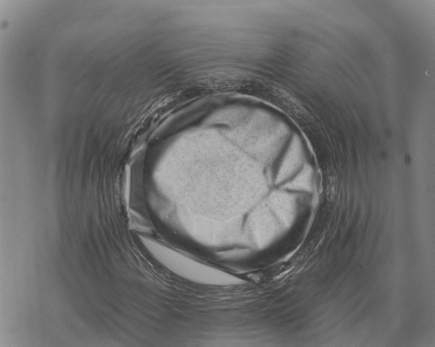 X0000072531108200608041550