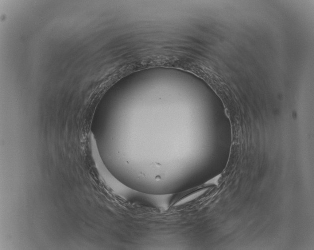 X0000072531109200608041550