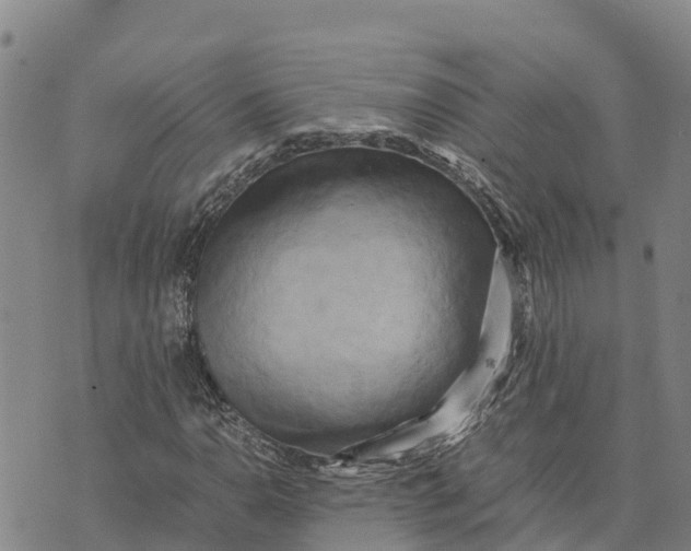 X0000072531110200608041550