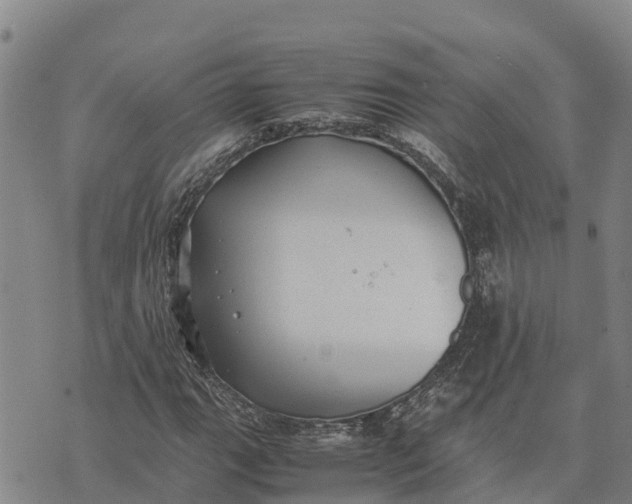 X0000072531111200608041550