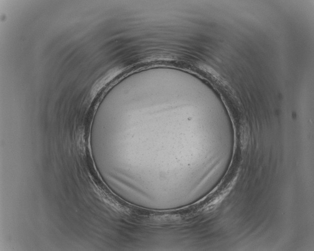 X0000072531113200608041550