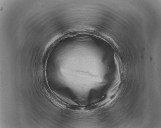 X0000072531114200608041550