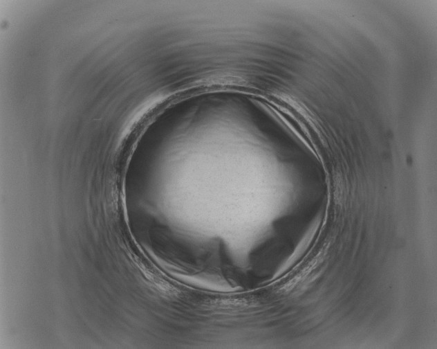 X0000072531115200608041550