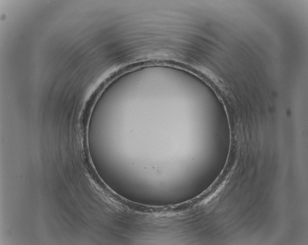 X0000072531118200608041550