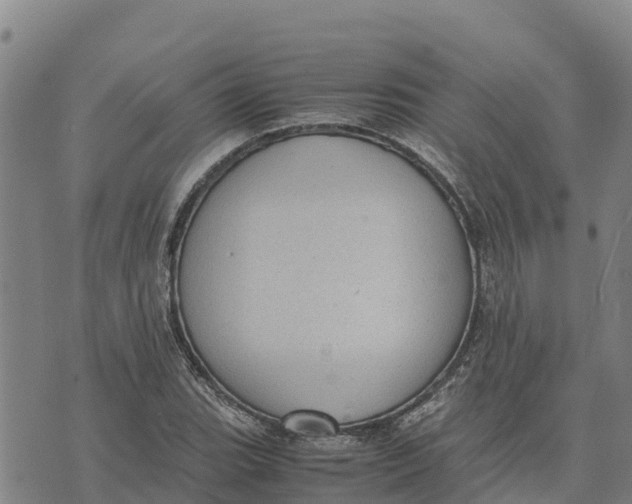 X0000072531119200608041550