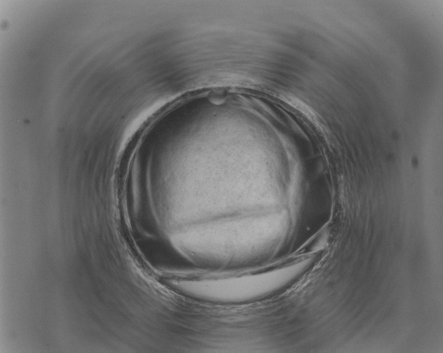 X0000072531120200608041550