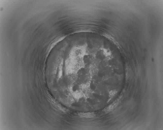 X0000072531121200608041550