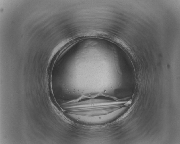 X0000072531122200608041550