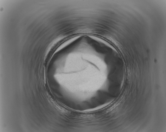 X0000072531123200608041550