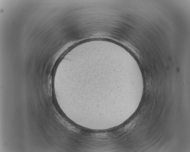 X0000072531126200608041550