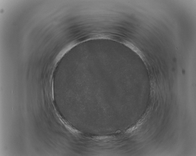 X0000072531127200608041550