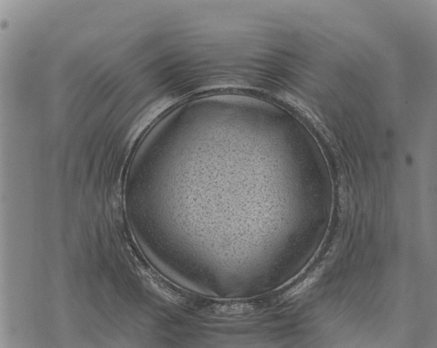 X0000072531129200608041550