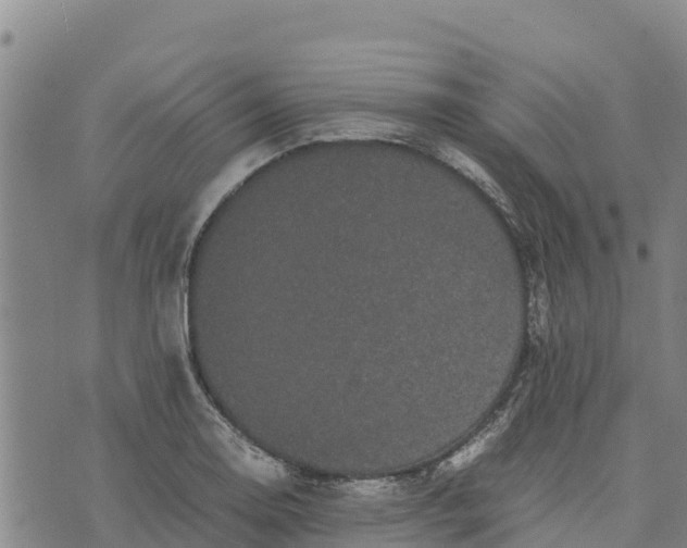 X0000072531130200608041550