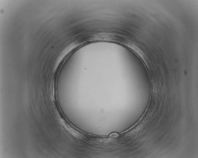 X0000072531131200608041550