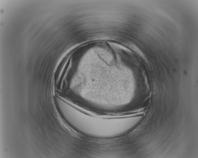 X0000072531132200608041550