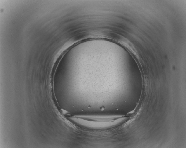 X0000072531133200608041550