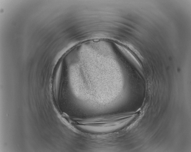 X0000072531134200608041550