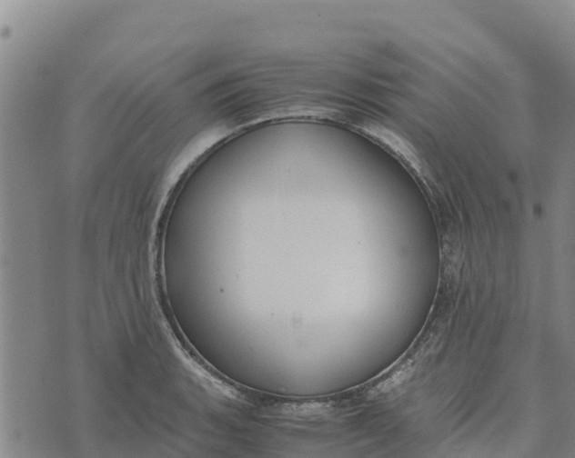 X0000072531135200608041550