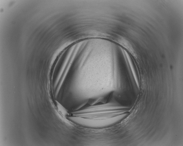 X0000072531136200608041550