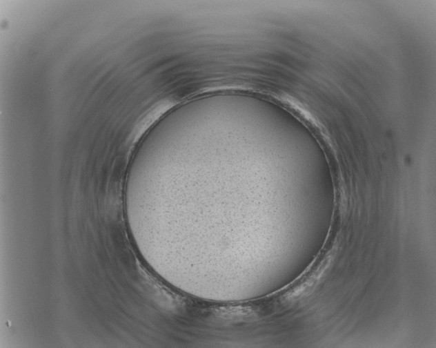 X0000072531137200608041550