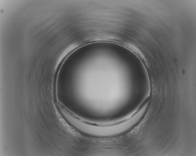 X0000072531138200608041550