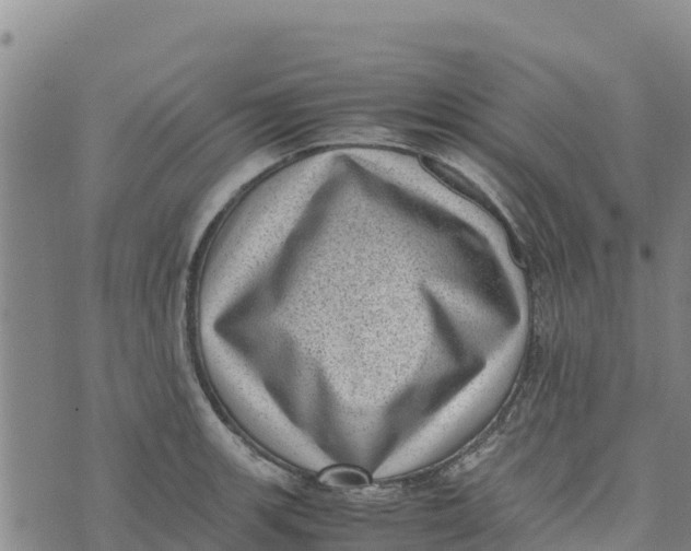 X0000072531139200608041550