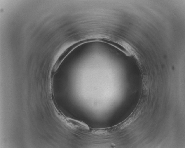 X0000072531140200608041550