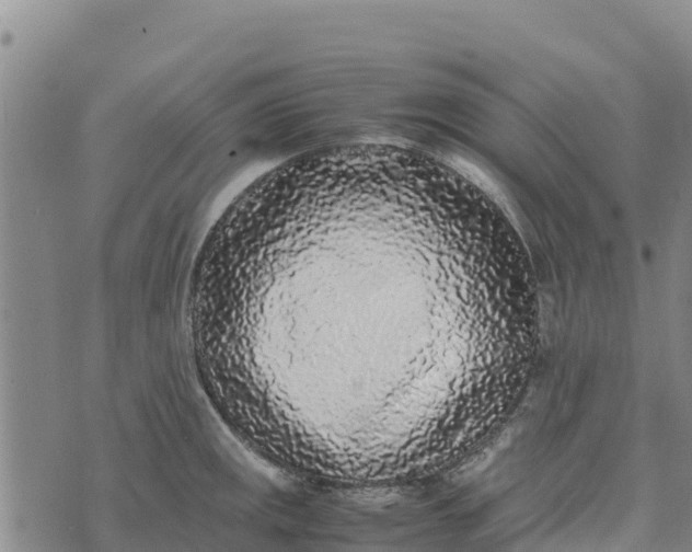 X0000072531141200608041550