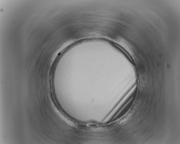 X0000072531142200608041551