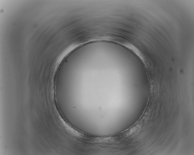 X0000072531143200608041551