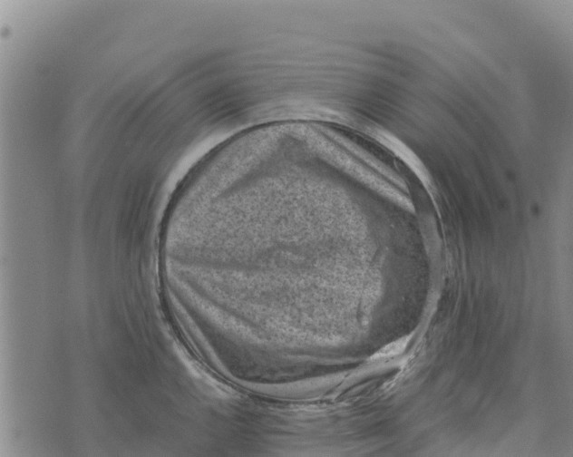 X0000072531144200608041551