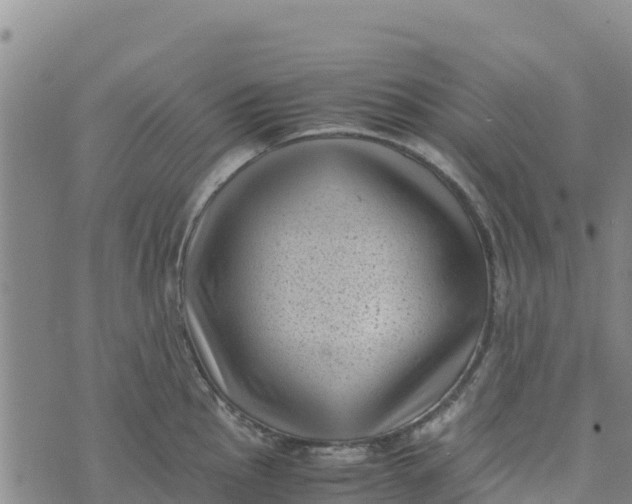 X0000072531145200608041551