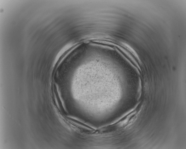 X0000072531146200608041551