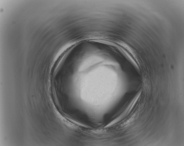 X0000072531147200608041551