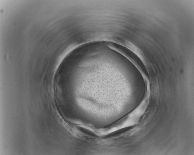 X0000072531148200608041551