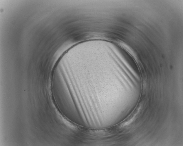 X0000072531149200608041551