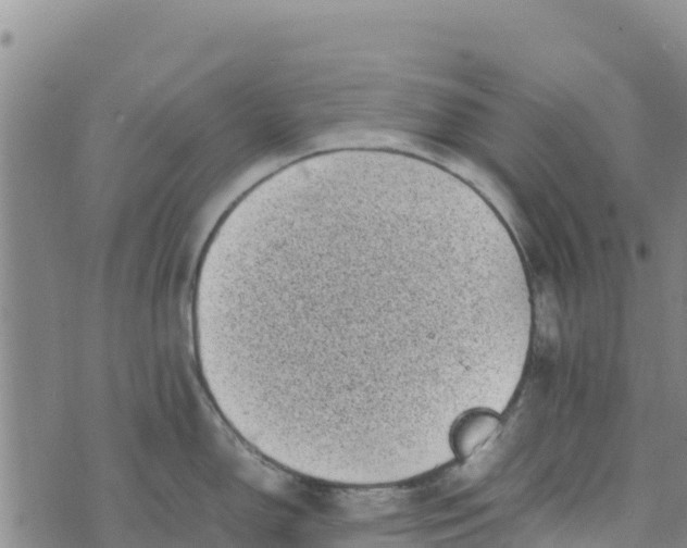 X0000072531150200608041551