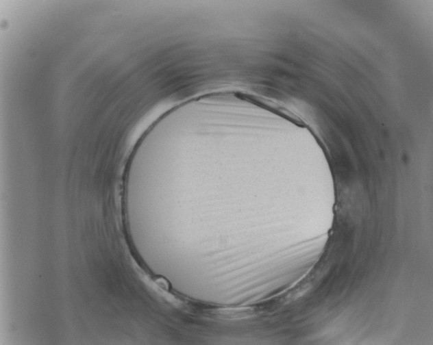 X0000072531151200608041551