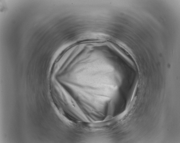 X0000072531152200608041551