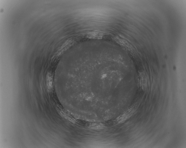 X0000072531154200608041550