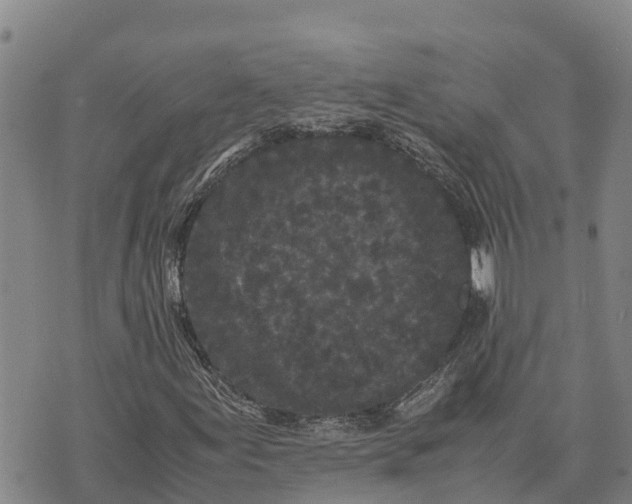 X0000072531155200608041550